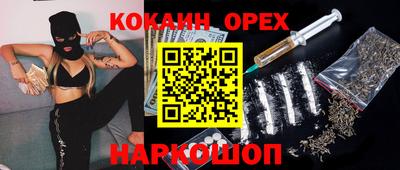 гашик Обнинск