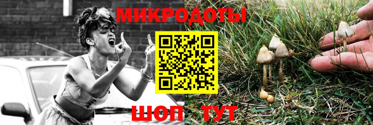 Галлюциногенные грибы Cubensis  Галлюциногенные грибы MAGIC MUSHROOMS  Евпатория  Вход с VPN 